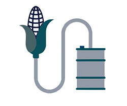 Equipamentos para a fabricação de Etanol De Milho