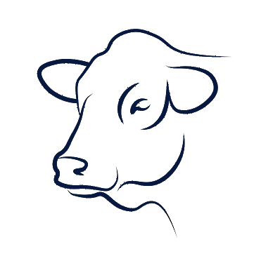 Equipamentos para fabricação de Ração Animal